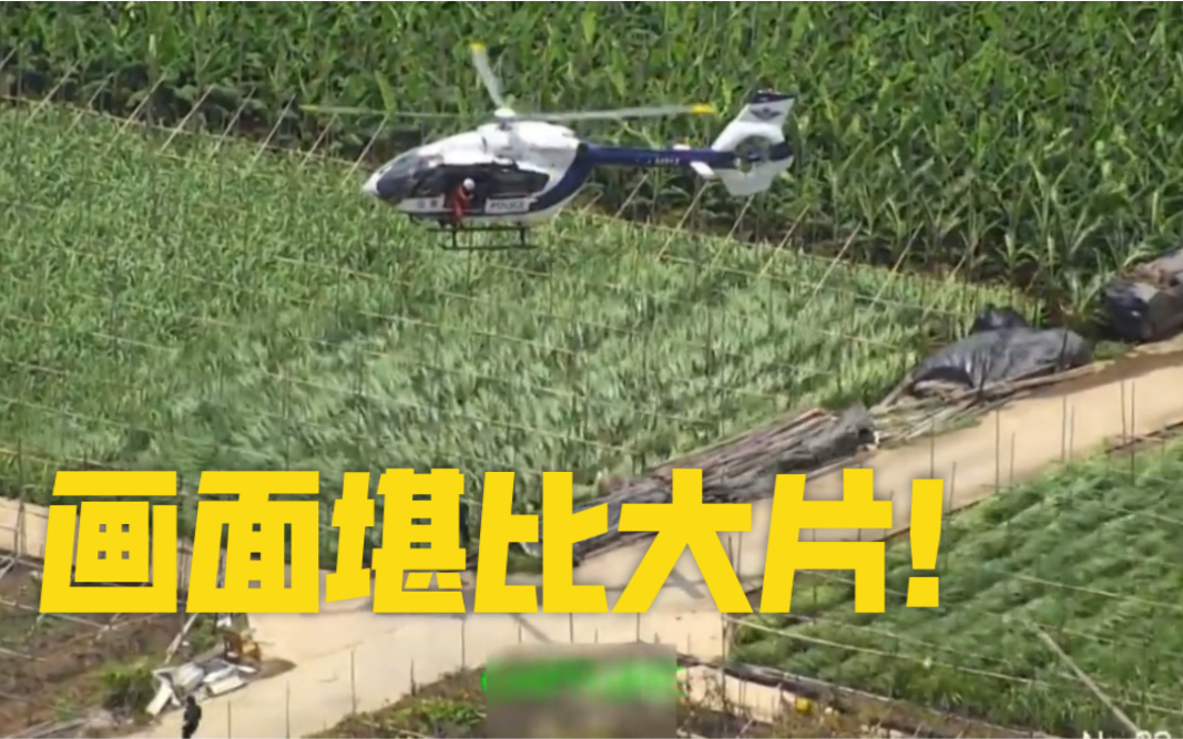 神仙对局!竞猜热点比赛过程堪比大片 神仙对局!竞猜热点比赛过程堪比大片