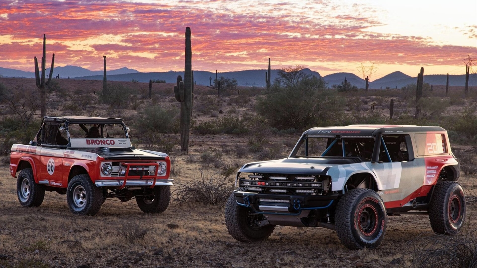 辛纳的逆袭之路,法网翻盘与ATP总决赛关键制胜