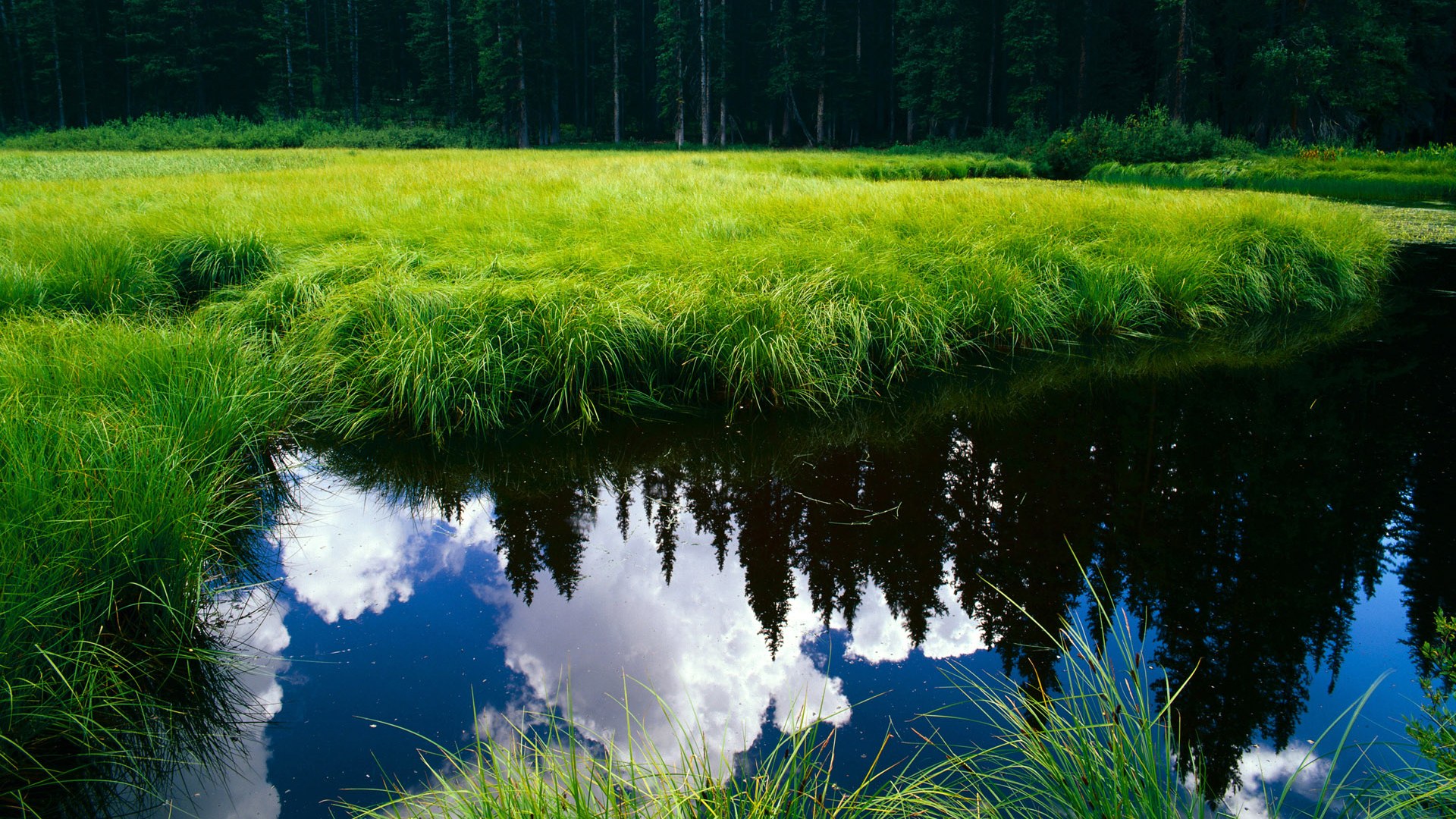 绿茵奇迹，伊拉克黑马冲垮里昂，迪巴拉关键节点连珠炮得分定乾坤