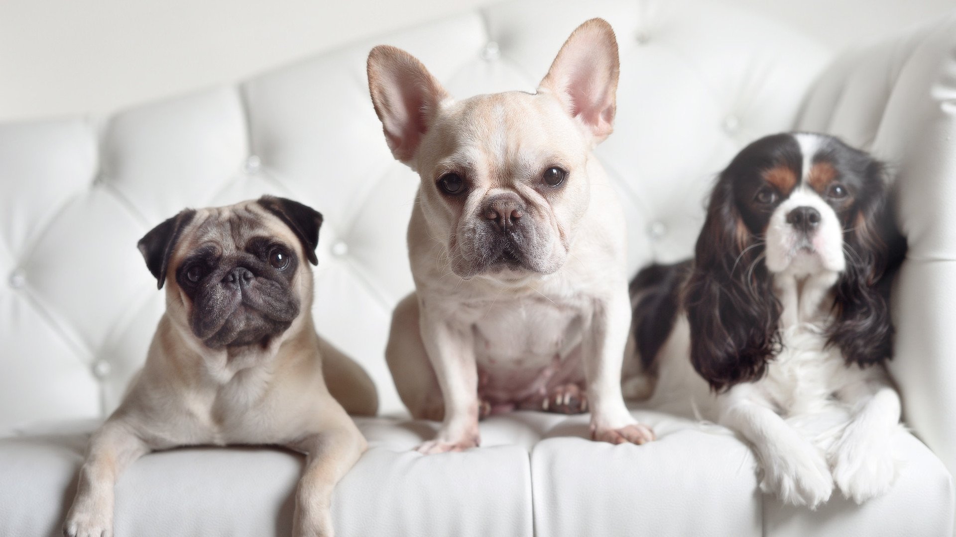 数据巅峰与团队凯歌,当小贾伦的单骑难敌勇士的洪流