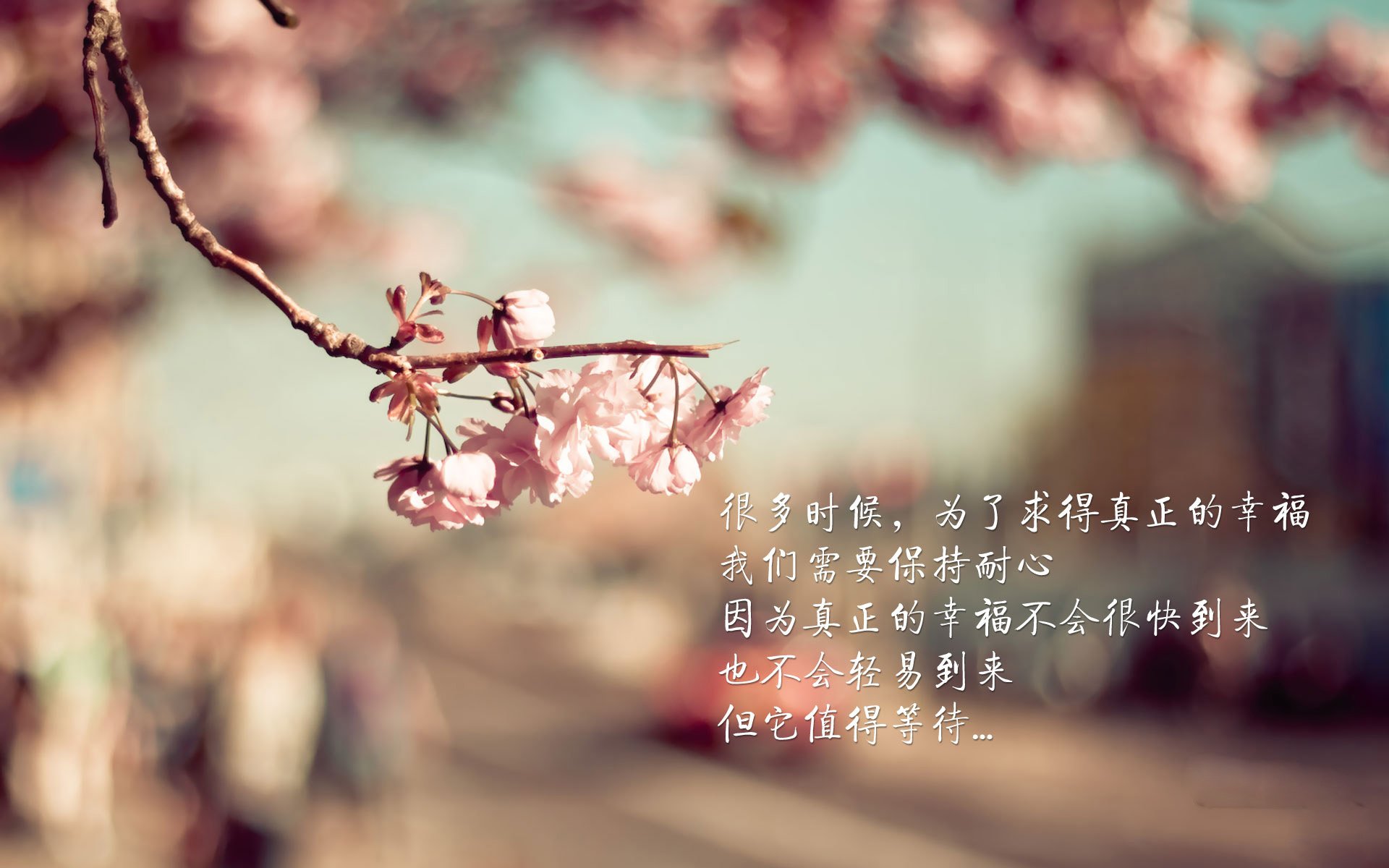 埃及对阵波兰的战术博弈，德布劳内关键战不手软的启示