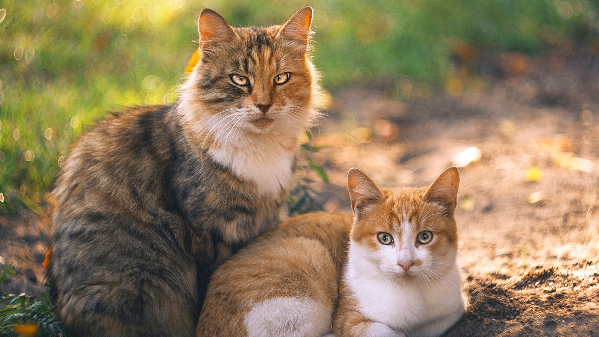 虚无的10号，当厄德高在基辅的雨中写下自己的名字