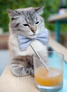 东方之剑与波兰铁骑，足球世界的多元爆发