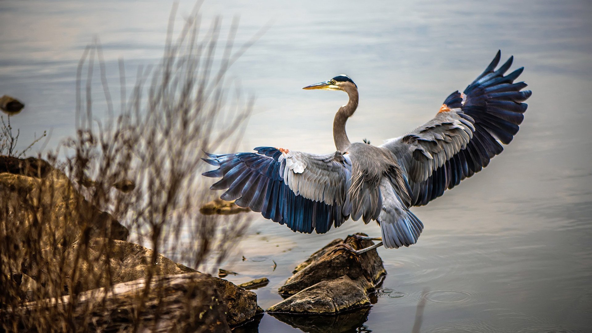 从暗影到圣光，奥运前夜的终极救赎