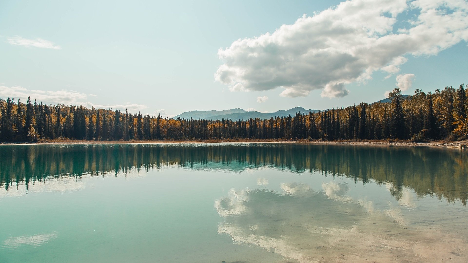 世纪审判！尼克斯粉碎雷霆，哈登用铁血表现完成自我正名