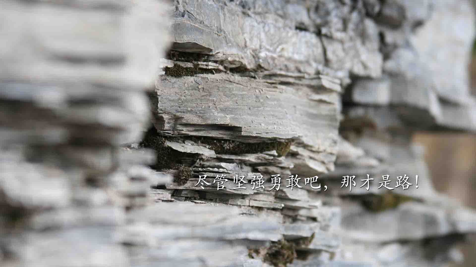 沙漠与丛林的碰撞,穆西亚拉致命一击,哥斯达黎加硬撼阿联酋改写世界杯格局