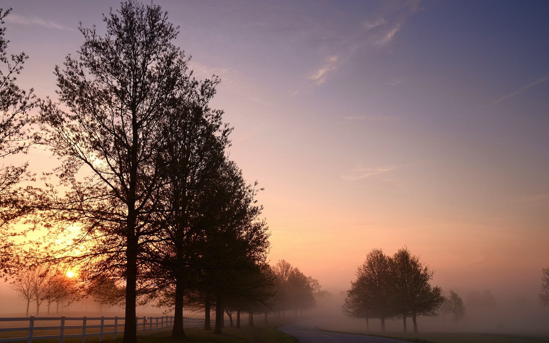 2026世界杯A组暗战,当罗马尼亚的坚韧撞上哥伦比亚的狂放,德容如何成为最被低估的胜负手