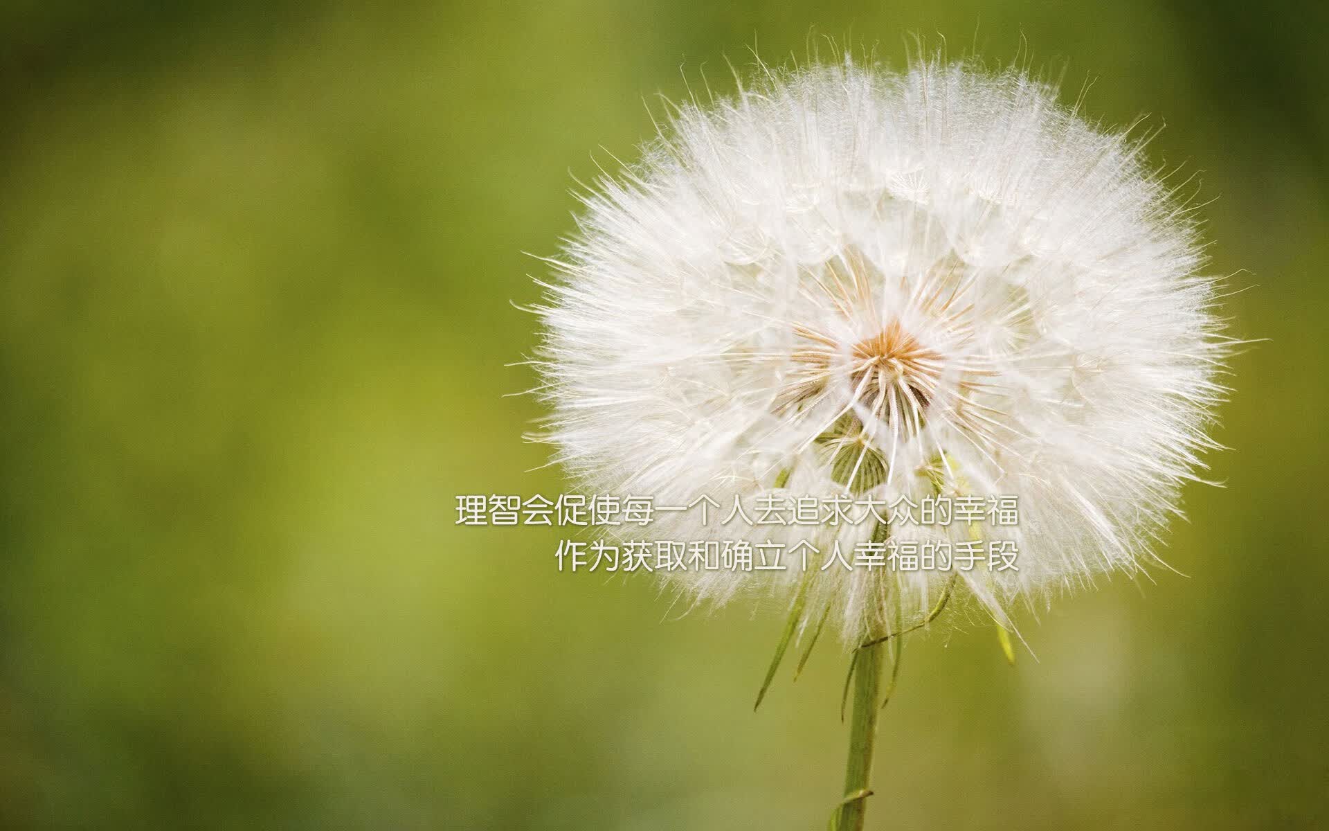 命运之夜的唯一杀机,当英格兰的钢铁洪流碾过星条旗,佩德里的灵光刺破纪元