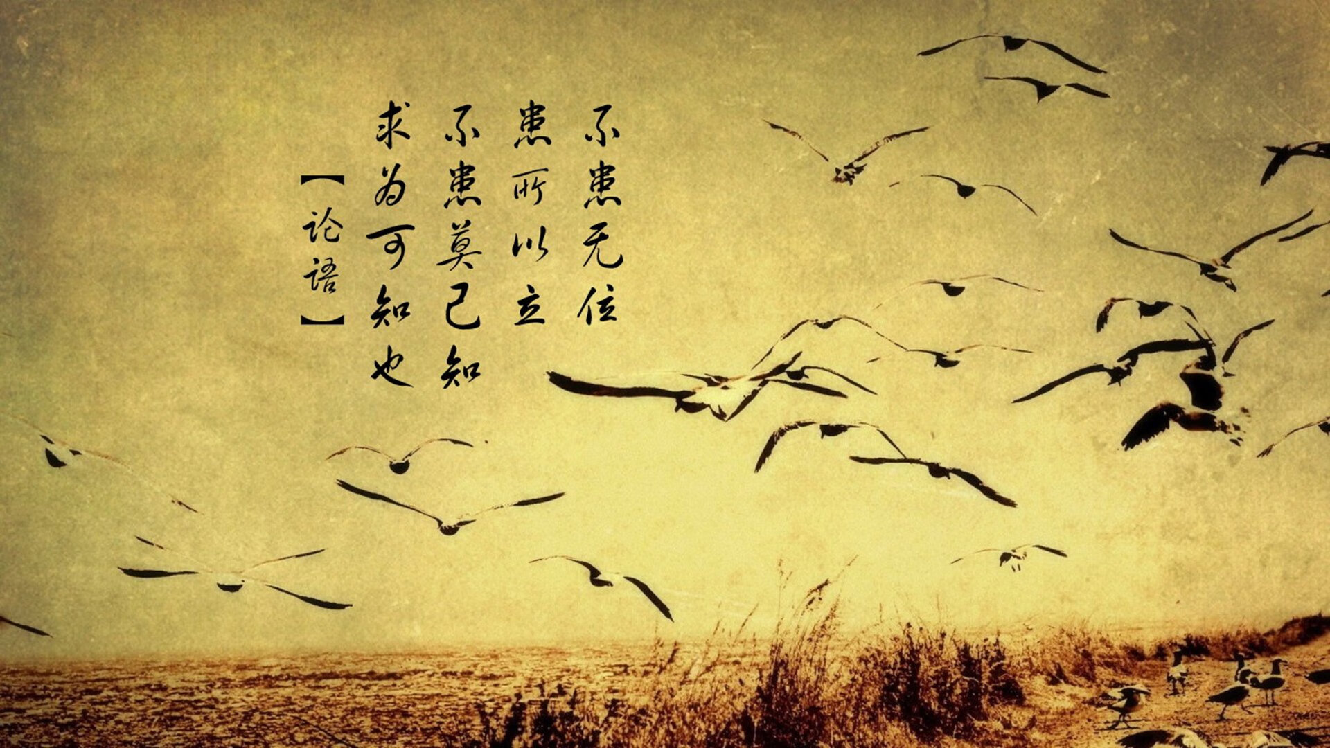 那一刻,郁金香在雨夜绽放—范戴克致命一击,荷兰险胜厄瓜多尔,D组风云突变